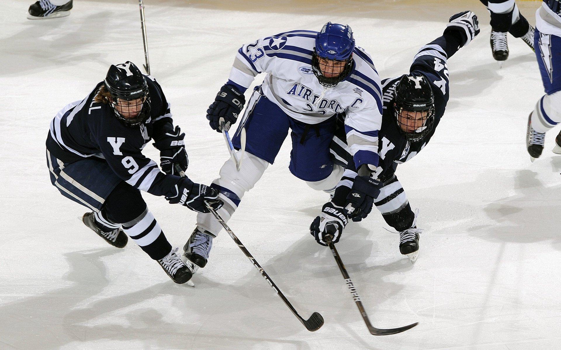 专栏 你内心的那条杂种狗，竞技体育中的野性与救赎